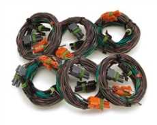 Emission Wire Harness